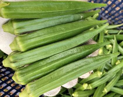 新鮮蔬菜配送:秋葵